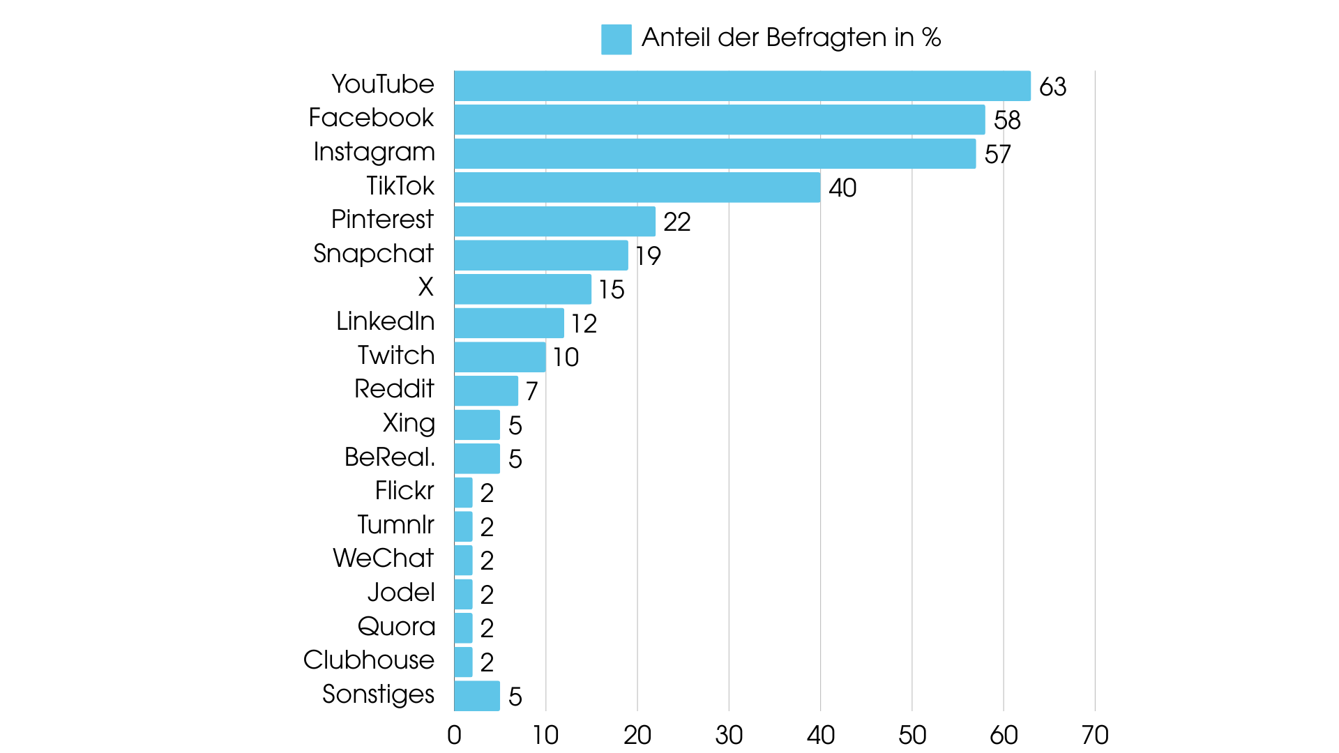 Beliebteste soziale Netzwerke in DE 2024 in einem Diagramm dargestellt.